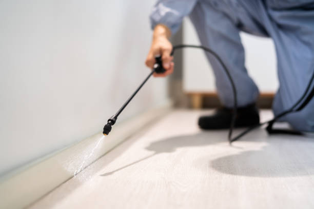 Bed Bug Pre-Treatment Preparation Assessment in South Gate Ridge