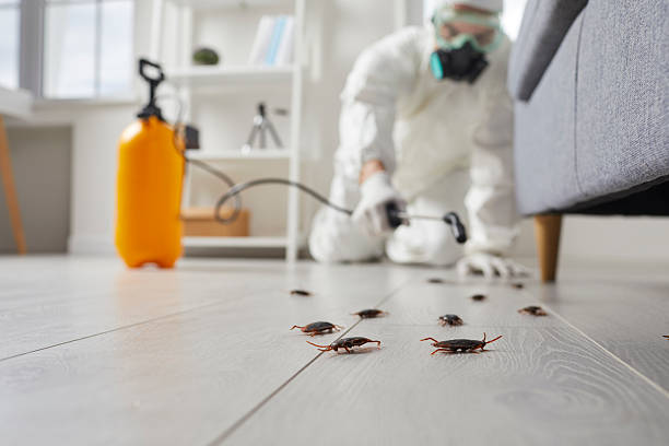 Post-Treatment Bed Bug Interceptor Monitoring in South Gate Ridge