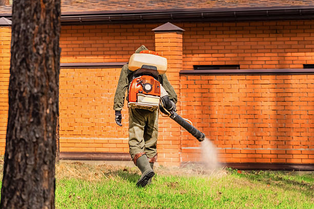 Bed Bug Clearance Verification and Documentation in South Gate Ridge
